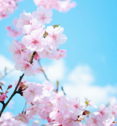 ������B��������Ⴂ�܂��B